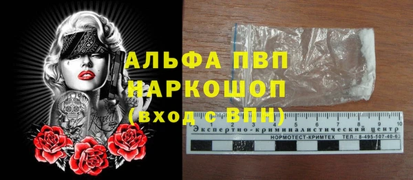 трава Аркадак