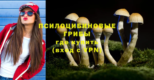 прущая мука Балахна