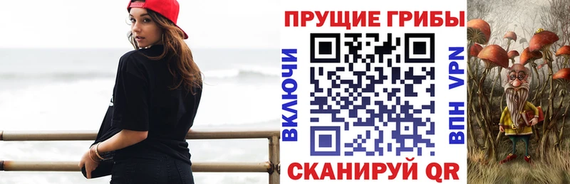 Псилоцибиновые грибы мухоморы  shop официальный сайт  Сорочинск  купить  